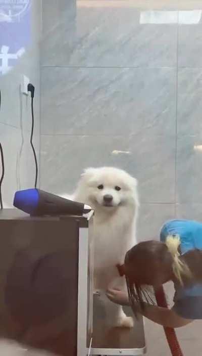 It's so well-behaved when bathing it