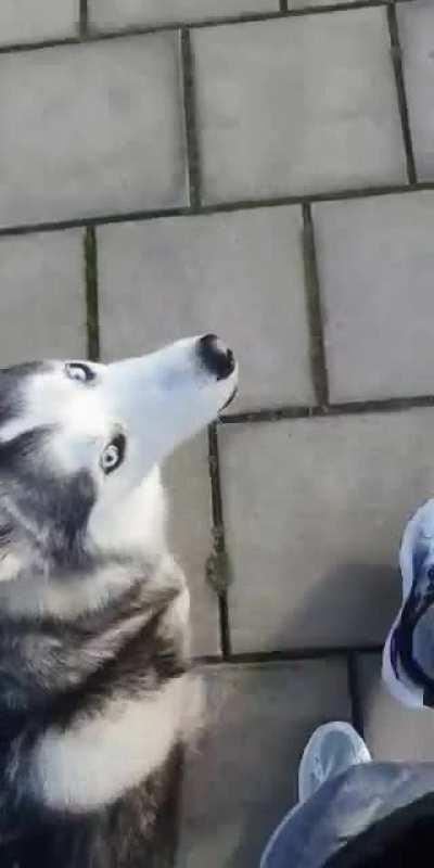 such a well behaved girl