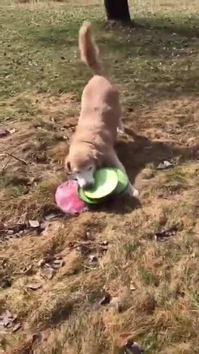 Mine, Mine, All mine!