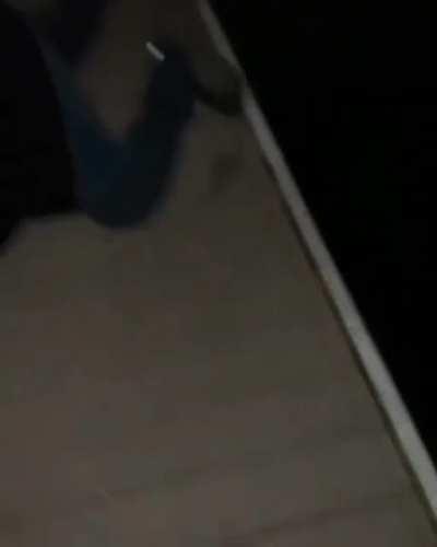 Picking up a stringray, WCGW?