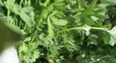 What its like to have to eject from your jet