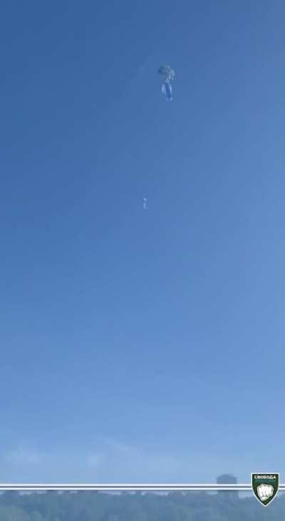 FoRL VDL 🤍💙🤍✊ (Civilian Movement of the Freedom Russia Legion): 