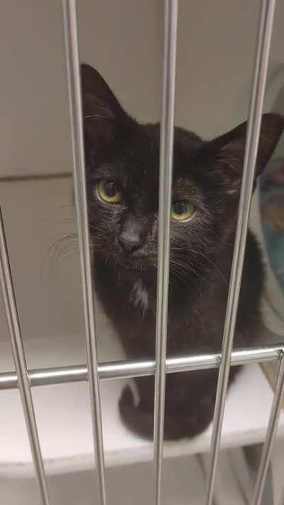 Otto protests smol confinement