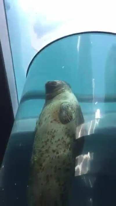 When the weed kicks in.