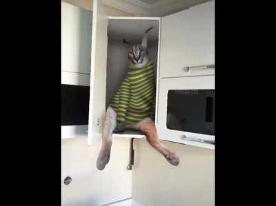 Pov your friend send you this and now you know why its flop