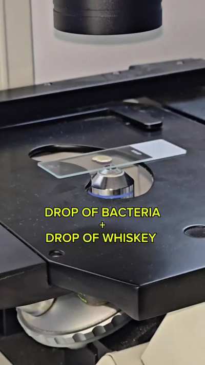 A Drop of Whiskey vs Bacteria
