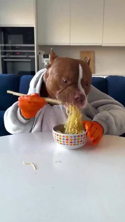Dog going hard on the noodles