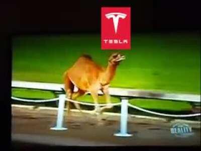 EV $TONK$ TO THE MOON 🚀🚀🚀🌚