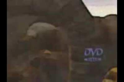 [AmericaFunny] awesome game !