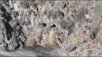 Two Pakistani Taliban (TTP) militants neutralized (killed/wounded) by Pakistani Frontier Corps (FC) troops in district North Waziristan in Khyber Pakhtunkhwa, Pakistan, during operation conducted by FC yesterday where 12 TTP militants were killed and 4 wo