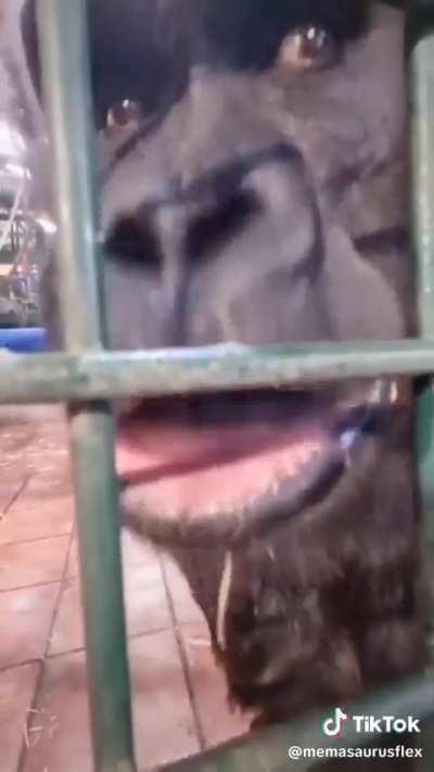 Oh, he zesty!! 😅💀