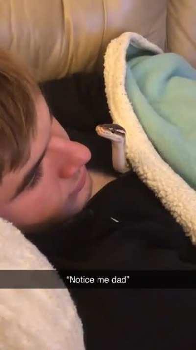 No one wants to have a staring contest with ya bud, you don’t have eyelids