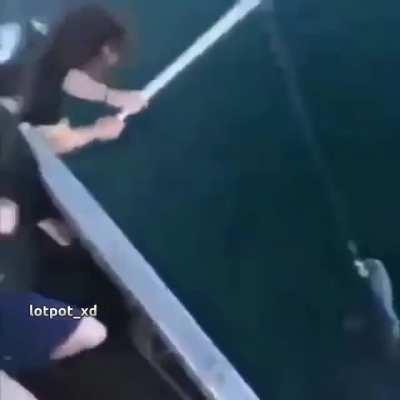 katte ka price kya hai?