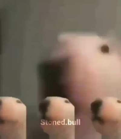 simplemente magnífico