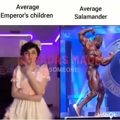 Average son of Fulgrim vs Average son of Vulkan