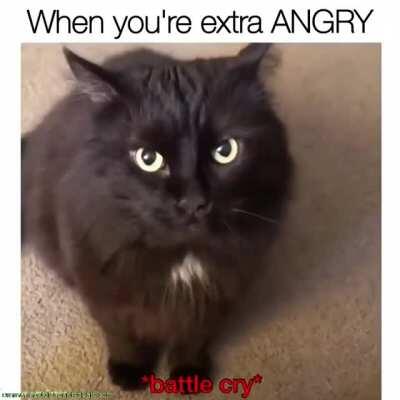 When you're extra ANGRY
