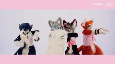 Ruishou & CO - BLACKPINK 'How You Like That'