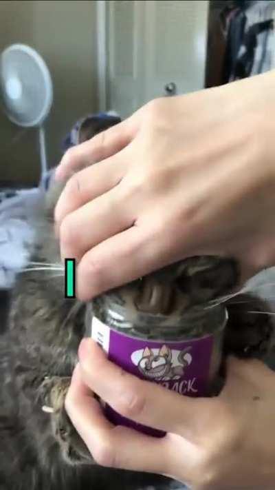 It's never enough🐱👍