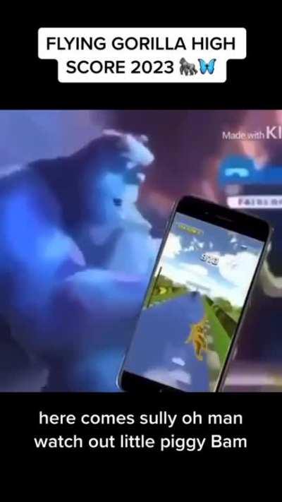 SUlly flyin Gorillier!??