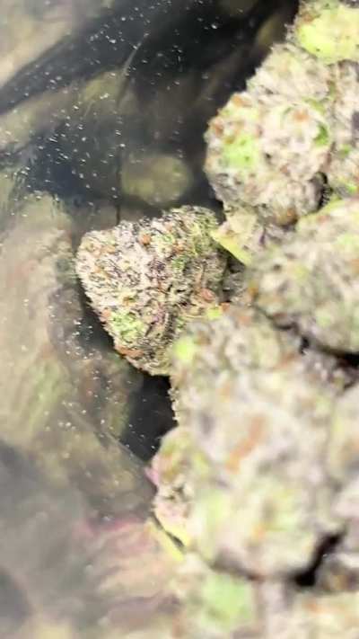 What $30 can get you in Canada