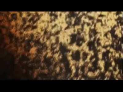 Sam LVL :9999999999999999