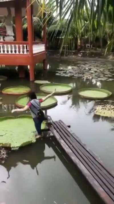 People who keep shorting nvdia right now