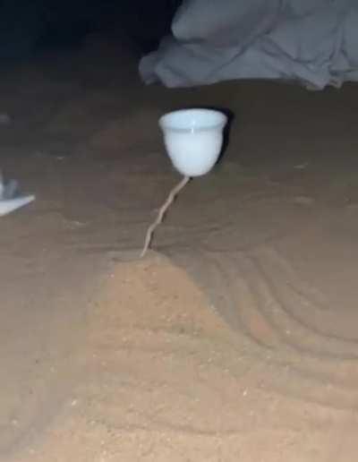 me and the dudes in the desert watching spinning mug