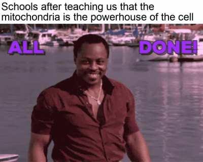 Mitochondria is very important to know in life.