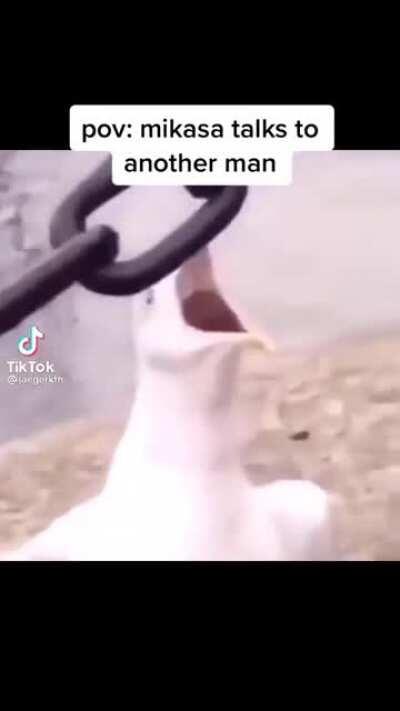 Pov: Mikasa le habla a otro