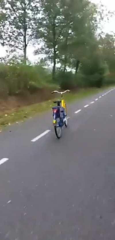 This only makes sense with sound: