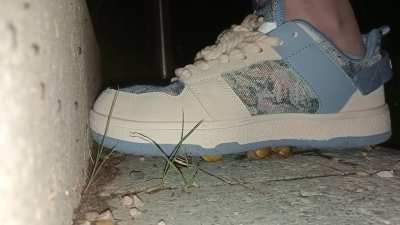 Most snails in one video (9) 2023