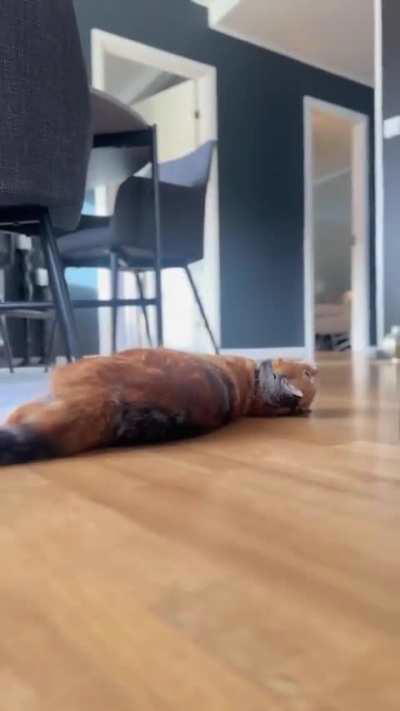 And round and round we go