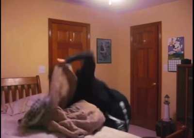 Literally everyone if Jake wins the fight.