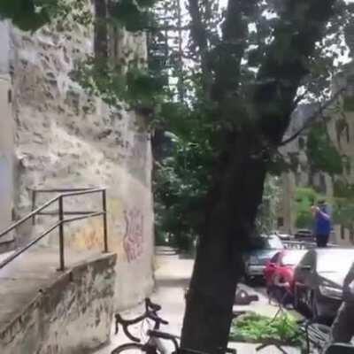 Why tag bystander tho?