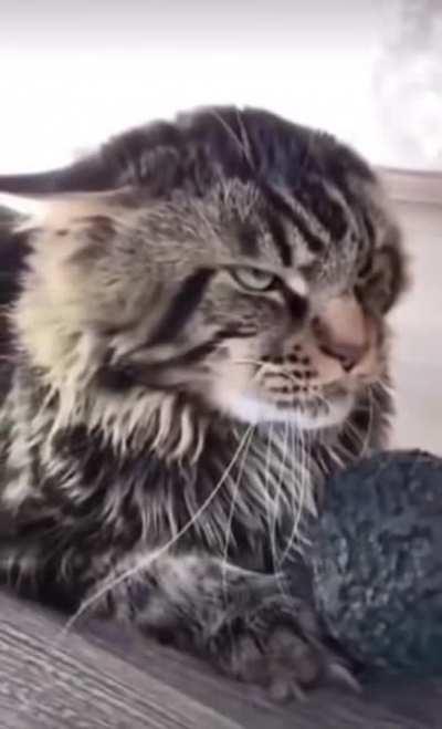 Репльно думаешь, что можешь меня напугать?