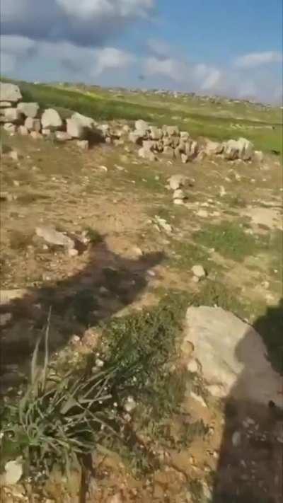 Israeli settler terrorist (also an IOF reservist) killed a Palestinian shepherd, Amir Muhammad Shanaran, and critically injured his brother Khaled on Saturday afternoon in Masafer Yatta, south of Hebron.