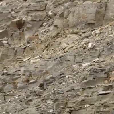 Thanks, I hate when life gets brutal