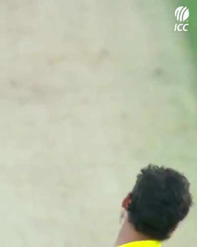 One of the best bowling performance of all time .