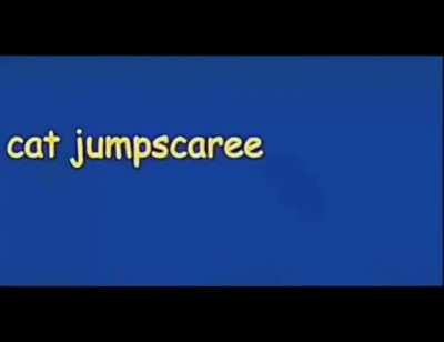 cat jumpscare