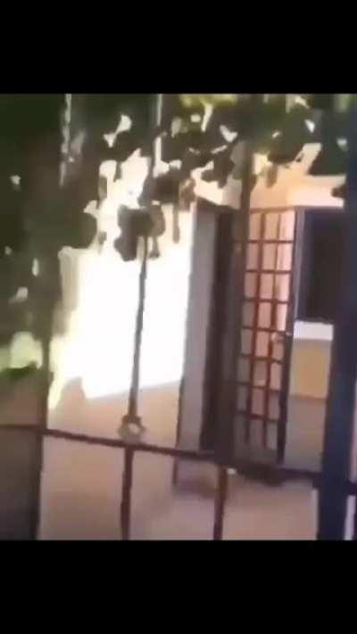 Just wanted to impress the girl