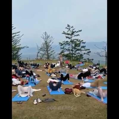 I wish I could explain what the fuck is going on.