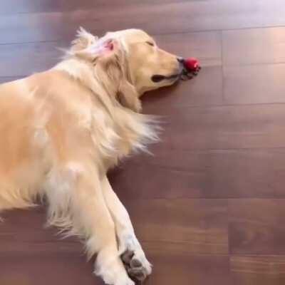 Strawberry is number one!