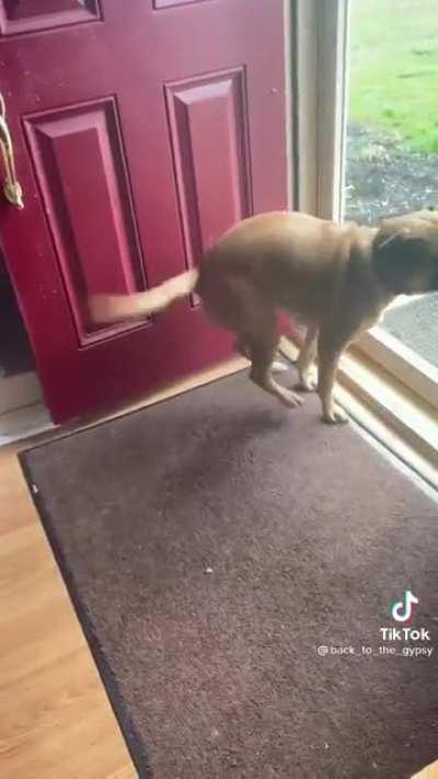 From tiktok user back_to_the_gypsy