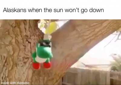 Midnight sun madness got me actin’ unwise