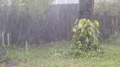 Raining all day in Florida today and it comes in waves like the ocean.