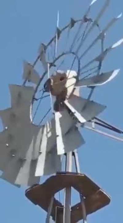 Pedido por unos cuantos, lo hice volando antes de salir a trabajar porque me encanta esa película