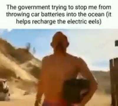 b-b-b-but, they need electricity to catch its prey!!!!