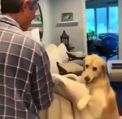 Let me give you a paw or two to move the bed...