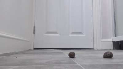 Snail crush under my sandals