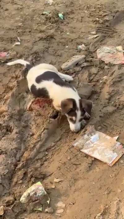 Please help! Please!